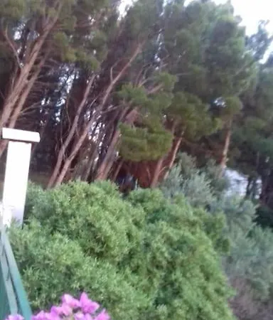 Apartment 2 Bets With Balkon 50 M From Beach