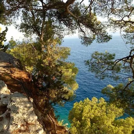 2 Bets With Balkon 50 M From Beach Apartment *
